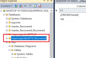 SQL Server Object Level Recovery Process Completed