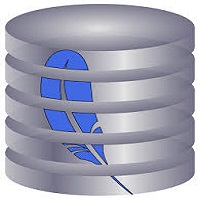 SQL Server Database